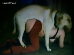 The household pet drilled the big-breasted girl on all fours.